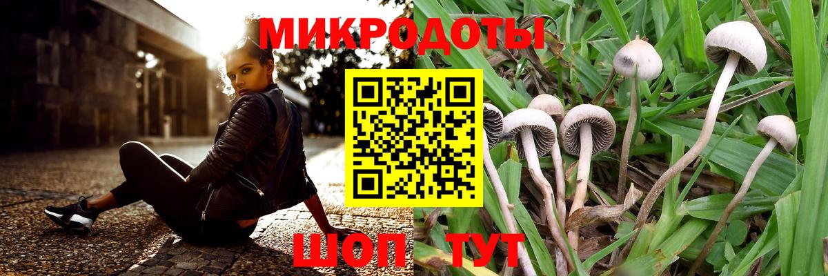 Псилоцибиновые грибы прущие грибы Владимир