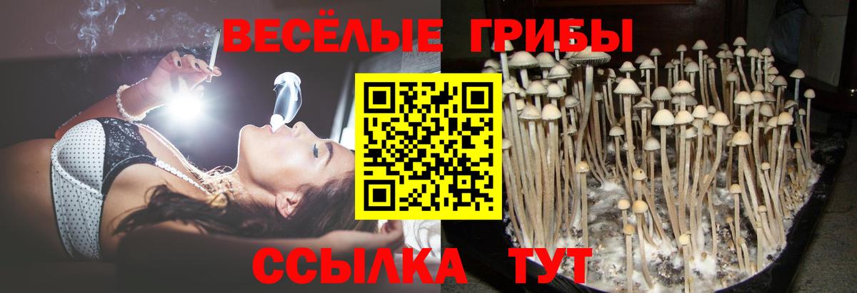 наркотики  Псилоцибиновые грибы мухоморы  Галлюциногенные грибы прущие грибы  Вход с VPN  Владимир 